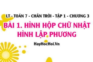 Hình hộp chữ nhật, Hình lập phương: Có bao nhiêu đỉnh, bao nhiêu cạnh, mấy đường chéo? Toán 7 chân trời Tập 1 chương 3 Bài 1